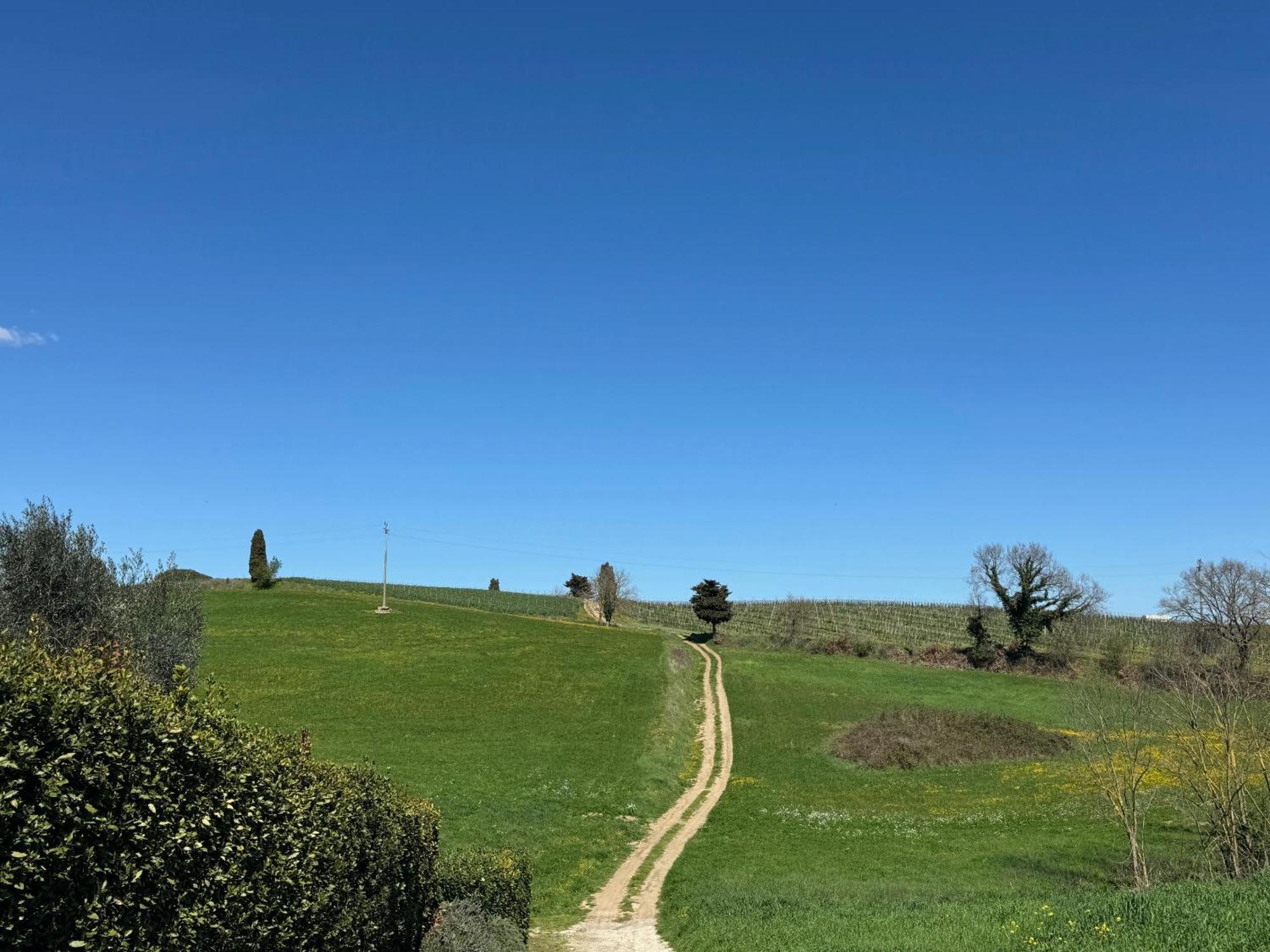 Castiglione In Teverina Orvieto Country House מראה חיצוני תמונה