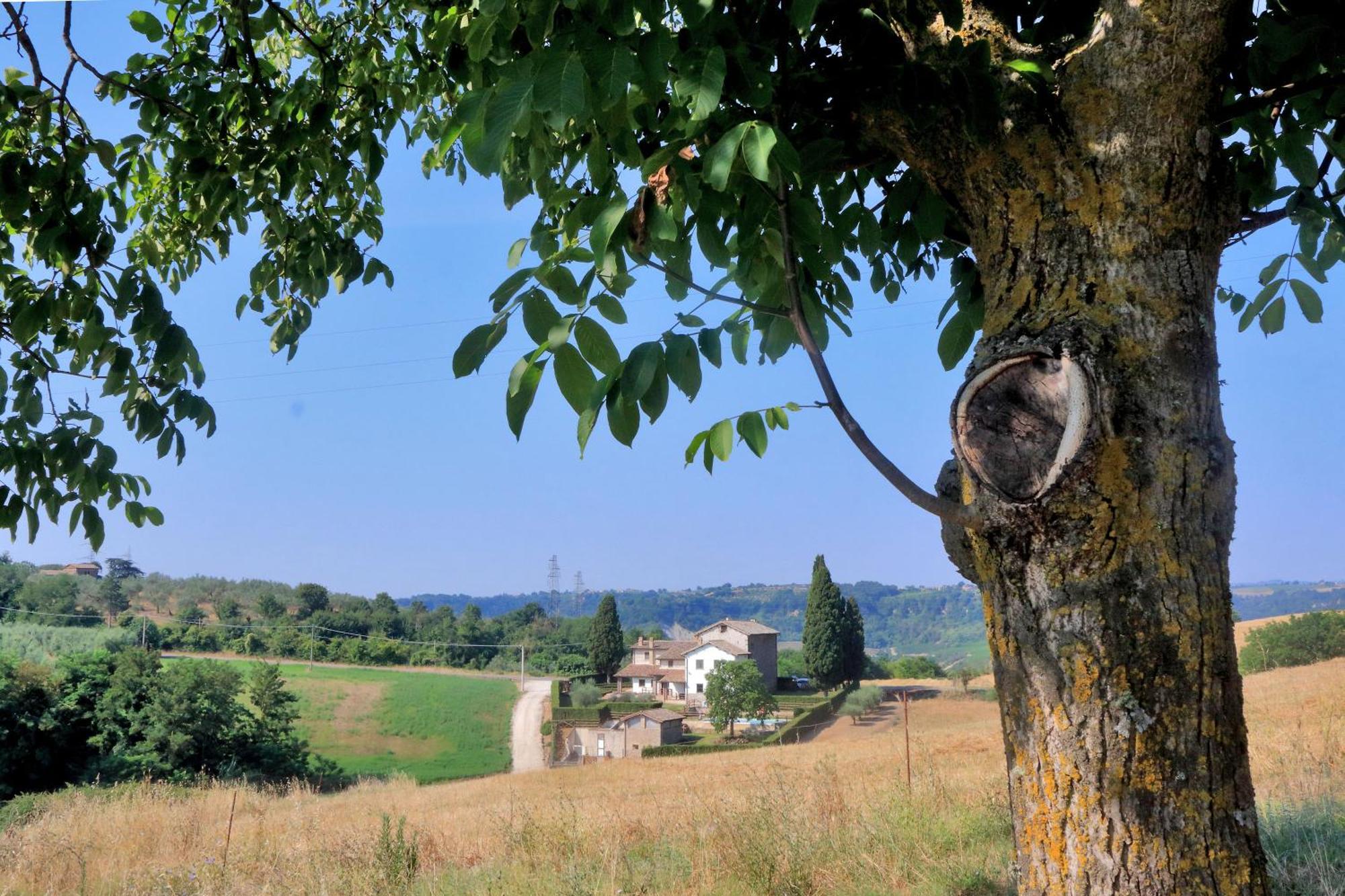 Castiglione In Teverina Orvieto Country House מראה חיצוני תמונה