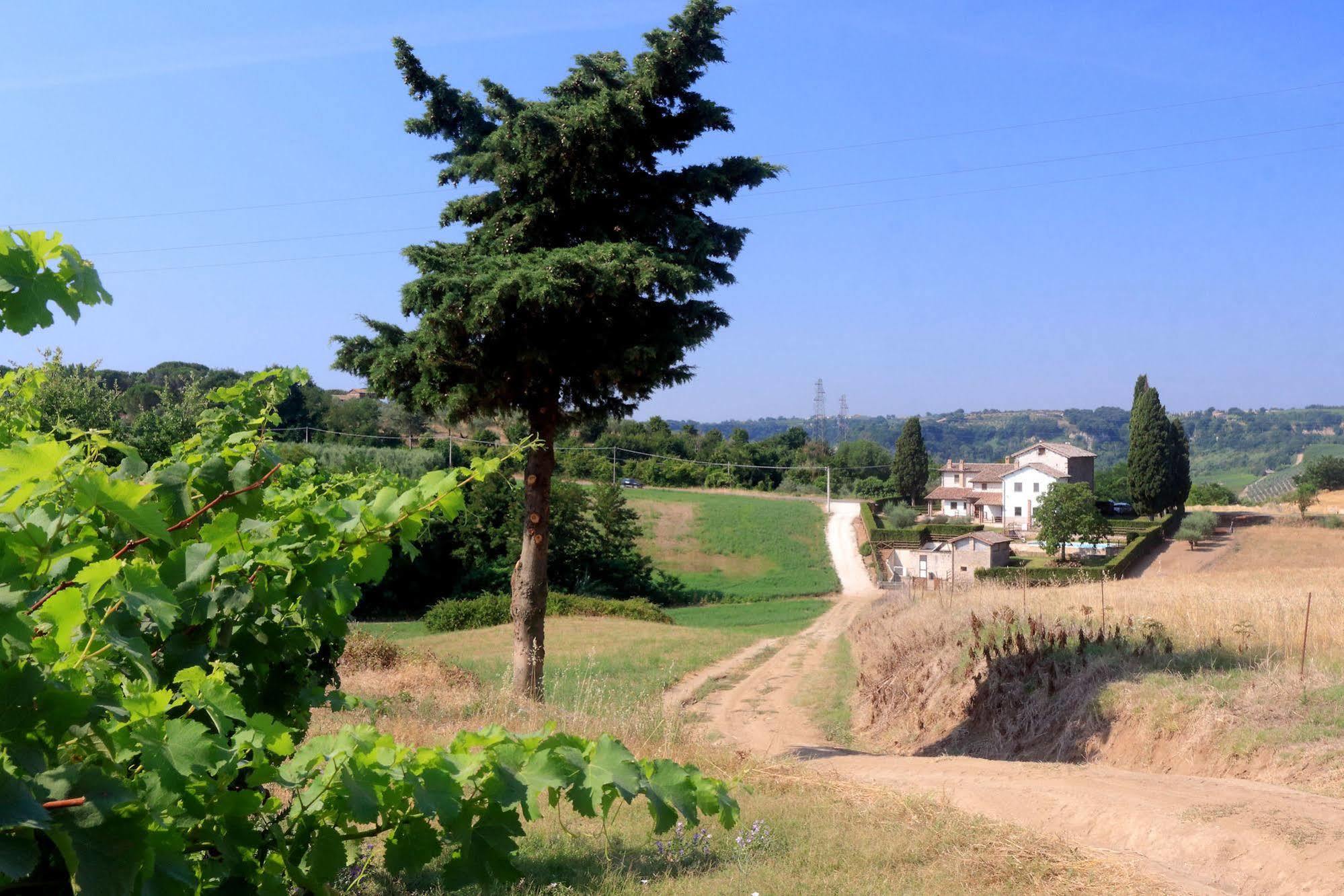 Castiglione In Teverina Orvieto Country House מראה חיצוני תמונה